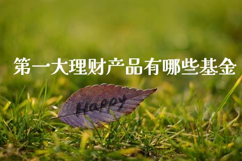 第一大理财产品有哪些基金_https://www.kuaijiepai.net_期货理财_第1张