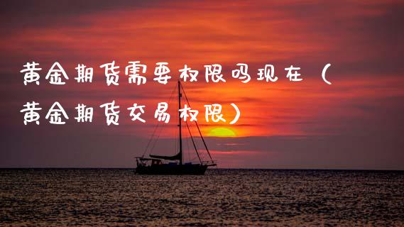 黄金期货需要权限吗现在（黄金期货交易权限）_https://www.kuaijiepai.net_期货资讯_第1张