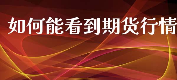 如何能看到期货行情_https://www.kuaijiepai.net_国际期货_第1张