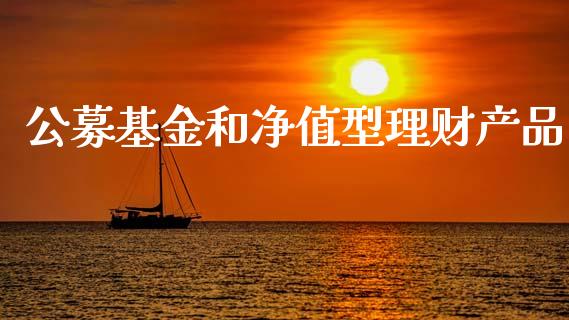 公募基金和净值型理财产品_https://www.kuaijiepai.net_投资理财_第1张