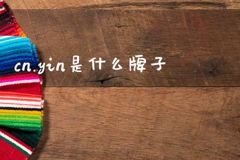 cn.yin是什么牌子_https://www.kuaijiepai.net_投资理财_第1张