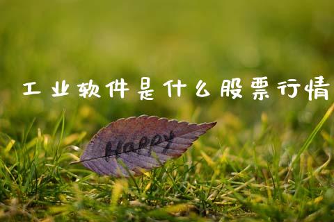 工业软件是什么股票行情_https://www.kuaijiepai.net_新股新闻_第1张