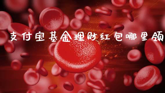 支付宝基金理财红包哪里领_https://www.kuaijiepai.net_期货理财_第1张