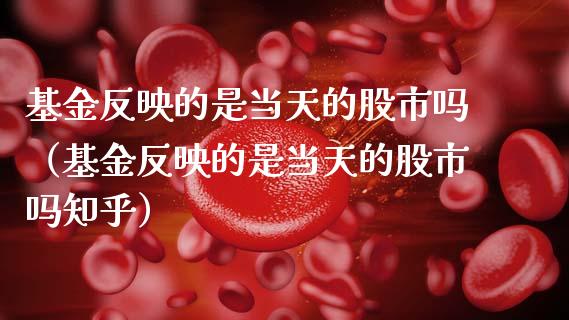 基金反映的是当天的股市吗（基金反映的是当天的股市吗知乎）_https://www.kuaijiepai.net_投资理财_第1张