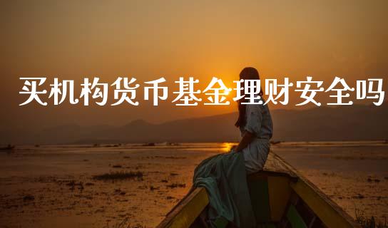 买机构货币基金理财安全吗_https://www.kuaijiepai.net_投资理财_第1张