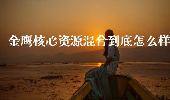 金鹰核心资源混合到底怎么样_https://www.kuaijiepai.net_投资理财_第1张
