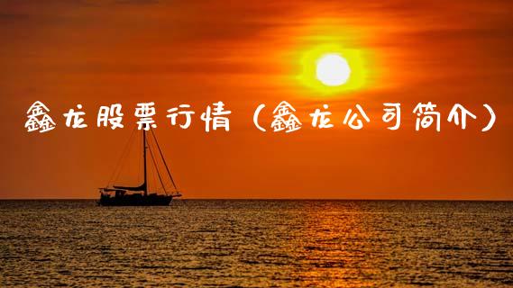 鑫龙股票行情（鑫龙公司简介）_https://www.kuaijiepai.net_新股新闻_第1张