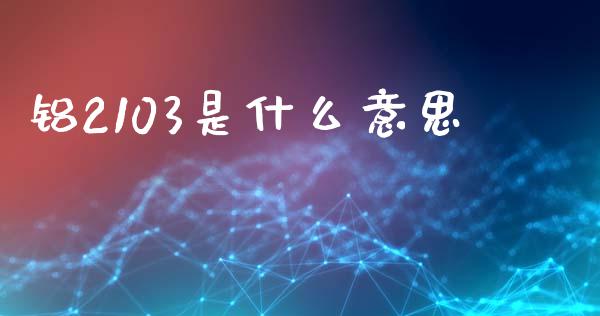 铝2103是什么意思_https://www.kuaijiepai.net_股票理论_第1张