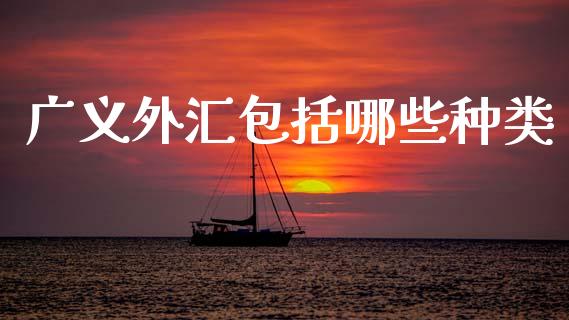 广义外汇包括哪些种类_https://www.kuaijiepai.net_期货在线_第1张