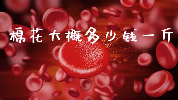 棉花大概多少钱一斤_https://www.kuaijiepai.net_期货资讯_第1张