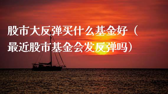 股市大反弹买什么基金好（最近股市基金会发反弹吗）_https://www.kuaijiepai.net_期货理财_第1张