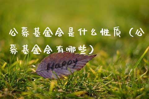 公募基金会是什么性质（公募基金会有哪些）_https://www.kuaijiepai.net_投资理财_第1张