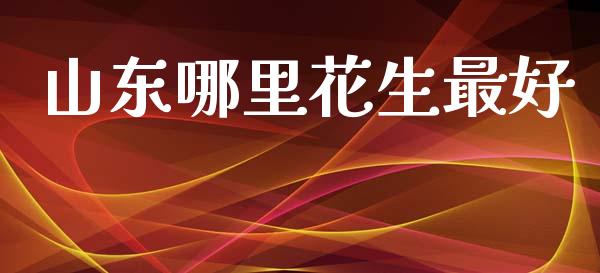 山东哪里花生最好_https://www.kuaijiepai.net_国际期货_第1张