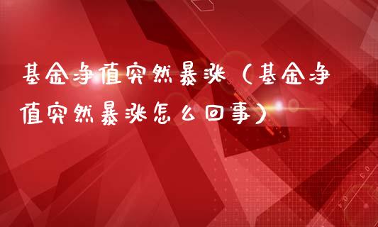 基金净值突然暴涨（基金净值突然暴涨怎么回事）_https://www.kuaijiepai.net_期货理财_第1张