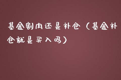 基金割肉还是补仓（基金补仓就是买入吗）_https://www.kuaijiepai.net_期货理财_第1张