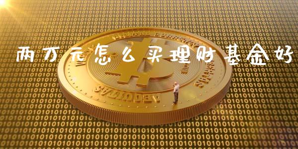 两万元怎么买理财基金好_https://www.kuaijiepai.net_期货理财_第1张