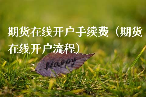 期货在线开户手续费（期货在线开户流程）_https://www.kuaijiepai.net_期货在线_第1张