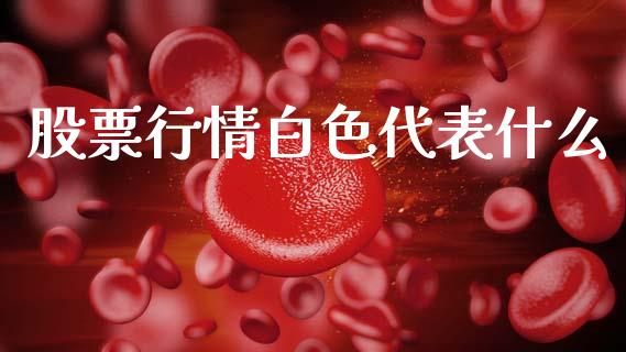 股票行情白色代表什么_https://www.kuaijiepai.net_股票理论_第1张