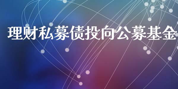 理财私募债投向公募基金_https://www.kuaijiepai.net_投资理财_第1张