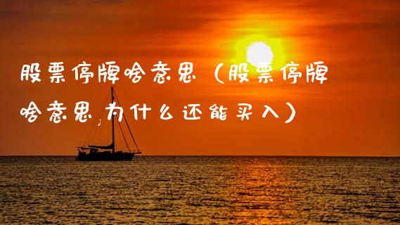 股票停牌啥意思（股票停牌啥意思,为什么还能买入）_https://www.kuaijiepai.net_新股新闻_第1张