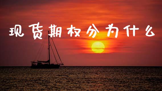 现货期权分为什么_https://www.kuaijiepai.net_国际股建_第1张