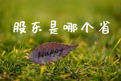 股东是哪个省_https://www.kuaijiepai.net_投资理财_第1张