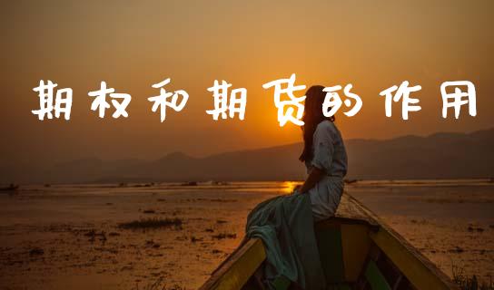 期权和期货的作用_https://www.kuaijiepai.net_期货在线_第1张