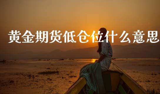 黄金期货低仓位什么意思_https://www.kuaijiepai.net_国际期货_第1张