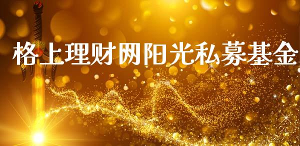 格上理财网阳光私募基金_https://www.kuaijiepai.net_投资理财_第1张