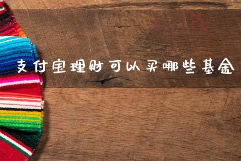 支付宝理财可以买哪些基金_https://www.kuaijiepai.net_投资理财_第1张