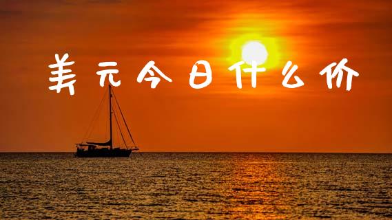 美元今日什么价_https://www.kuaijiepai.net_国际期货_第1张