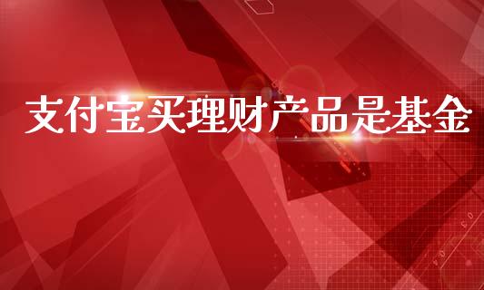 支付宝买理财产品是基金_https://www.kuaijiepai.net_期货理财_第1张