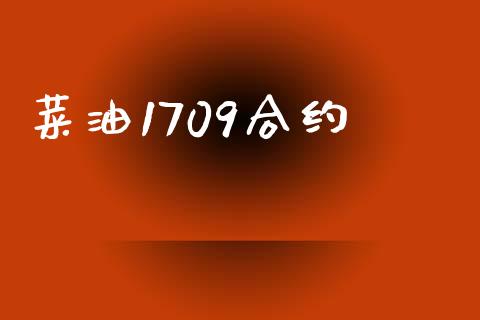 菜油1709合约_https://www.kuaijiepai.net_期货理财_第1张