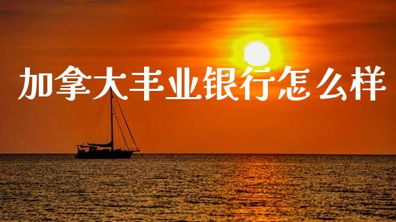 加拿大丰业银行怎么样_https://www.kuaijiepai.net_国际股建_第1张