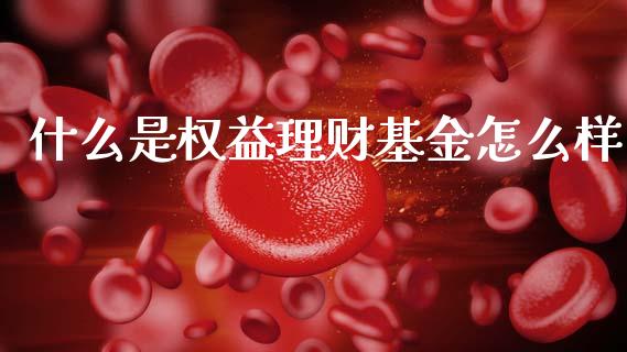 什么是权益理财基金怎么样_https://www.kuaijiepai.net_投资理财_第1张