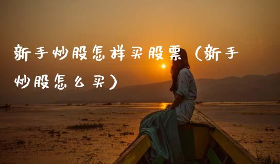 新手炒股怎样买股票（新手炒股怎么买）_https://www.kuaijiepai.net_国际股建_第1张