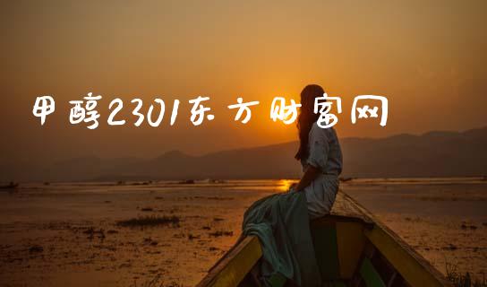 甲醇2301东方财富网_https://www.kuaijiepai.net_期货在线_第1张