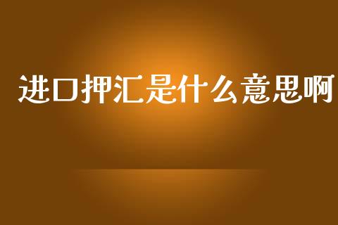 进口押汇是什么意思啊_https://www.kuaijiepai.net_新股新闻_第1张