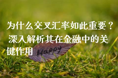 为什么交叉汇率如此重要？ 深入解析其在金融中的关键作用_https://www.kuaijiepai.net_国际期货_第1张