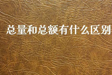 总量和总额有什么区别_https://www.kuaijiepai.net_新股新闻_第1张