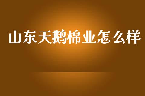 山东天鹅棉业怎么样_https://www.kuaijiepai.net_国际股建_第1张