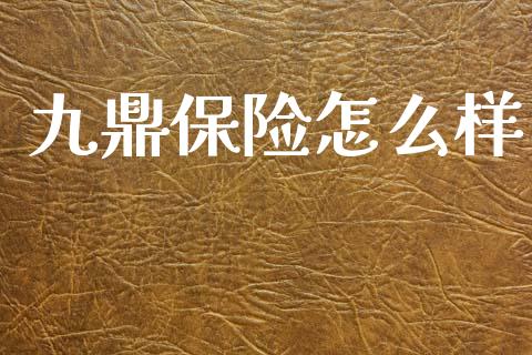 九鼎保险怎么样_https://www.kuaijiepai.net_国际股建_第1张