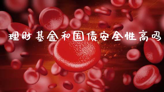 理财基金和国债安全性高吗_https://www.kuaijiepai.net_投资理财_第1张