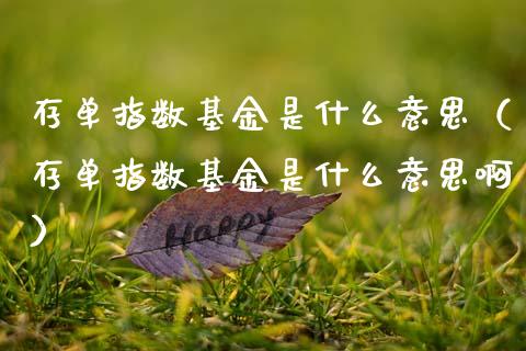 存单指数基金是什么意思（存单指数基金是什么意思啊）_https://www.kuaijiepai.net_期货理财_第1张