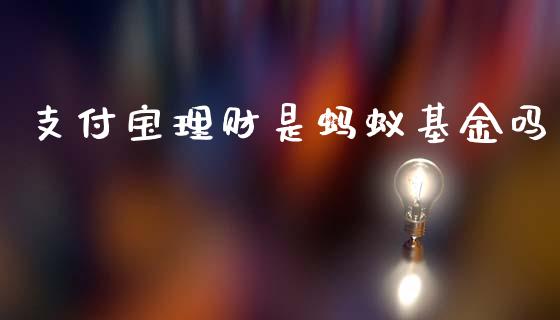 支付宝理财是蚂蚁基金吗_https://www.kuaijiepai.net_投资理财_第1张