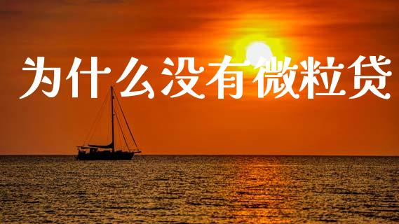 为什么没有微粒贷_https://www.kuaijiepai.net_期货资讯_第1张