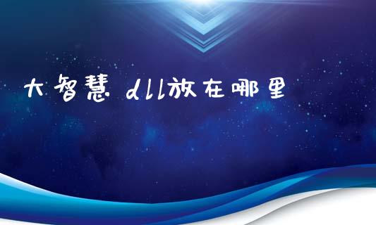 大智慧 dll放在哪里_https://www.kuaijiepai.net_期货资讯_第1张