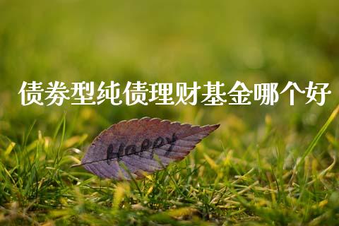 债劵型纯债理财基金哪个好_https://www.kuaijiepai.net_投资理财_第1张