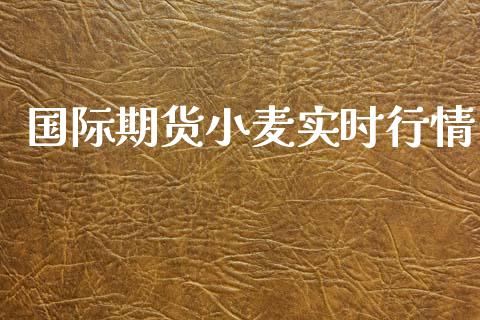 国际期货小麦实时行情_https://www.kuaijiepai.net_期货资讯_第1张