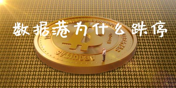 数据港为什么跌停_https://www.kuaijiepai.net_期货理财_第1张